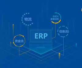 ERP运维解决方案